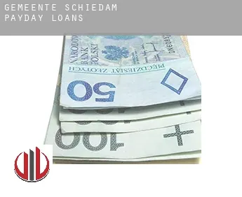 Gemeente Schiedam  payday loans