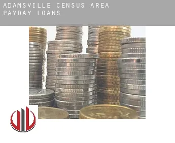 Adamsville (census area)  payday loans