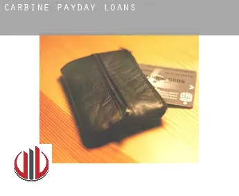 Carbine  payday loans