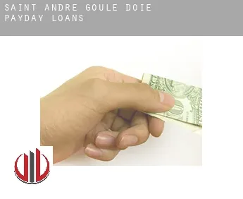 Saint-André-Goule-d'Oie  payday loans
