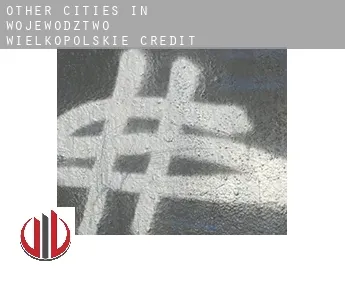 Other cities in Wojewodztwo Wielkopolskie  credit
