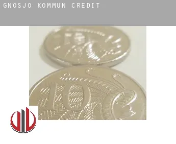 Gnosjö Kommun  credit