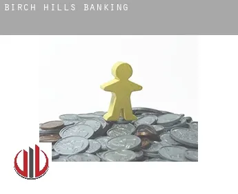 Birch Hills  banking