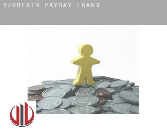 Burdekin  payday loans