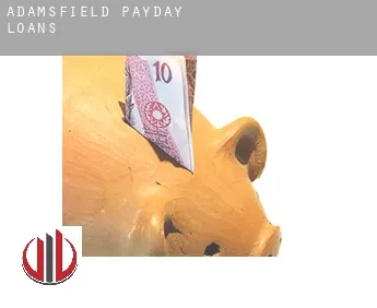 Adamsfield  payday loans