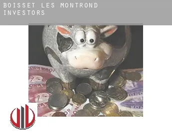 Boisset-lès-Montrond  investors