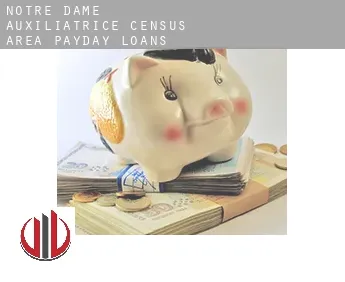 Notre-Dame-Auxiliatrice (census area)  payday loans
