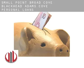 Small Point-Broad Cove-Blackhead-Adams Cove  personal loans