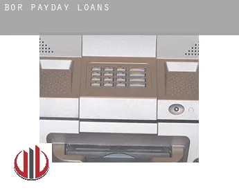 Bor  payday loans