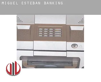 Miguel Esteban  banking