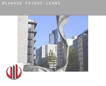Boxwood  payday loans