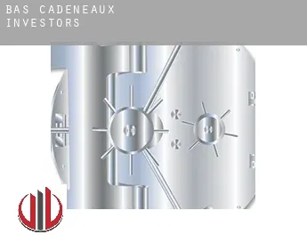 Bas Cadeneaux  investors