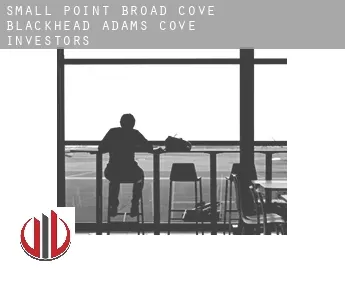 Small Point-Broad Cove-Blackhead-Adams Cove  investors