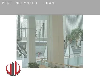 Port Molyneux  loan