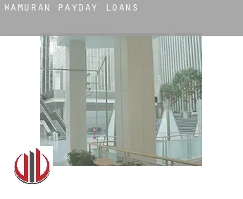 Wamuran  payday loans