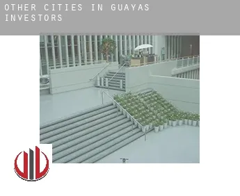 Other cities in Guayas  investors